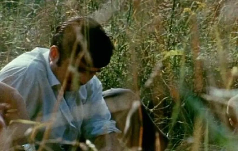 فیلمی مثل بقیه