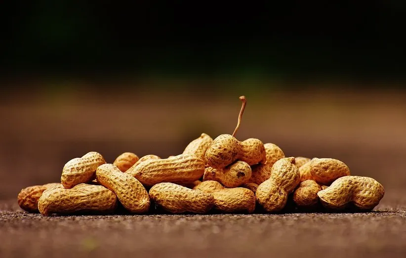 کره‌ی بادام زمینی بد – کره‌ی بادام زمینی خوب