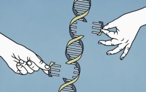 طرحی گرافیکی از تکمیل ژنوم انسان