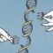 طرحی گرافیکی از تکمیل ژنوم انسان