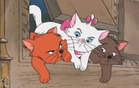 گربه‌های اشرافی