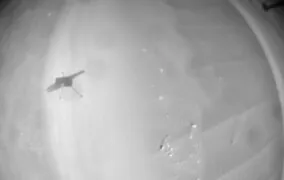 سایه‌ی بالگرد نبوغ در بیست‌وچهارمین پرواز مریخی