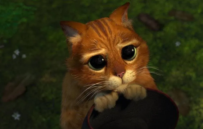 گربهی چکمهپوش