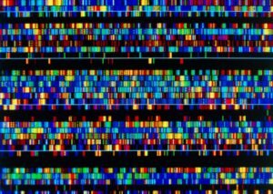 نمایش گرافیکی بخش‌هایی از توالی ژنوم انسان