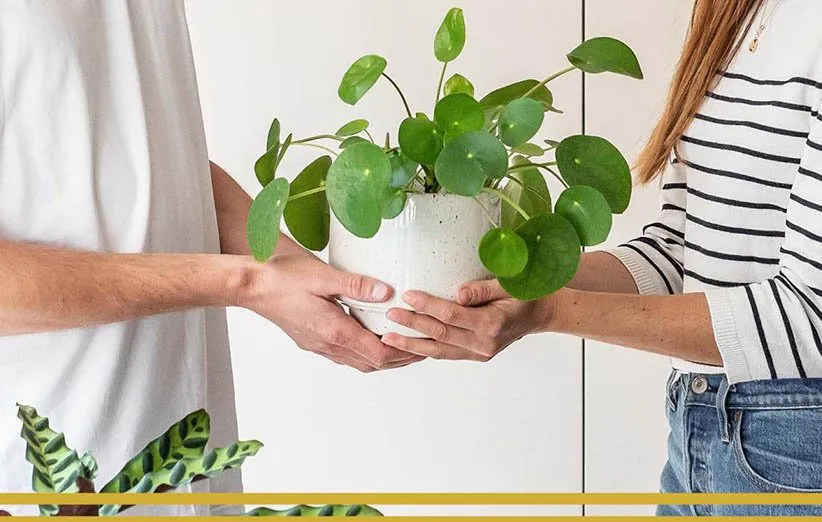 ایده خریدن هدیه