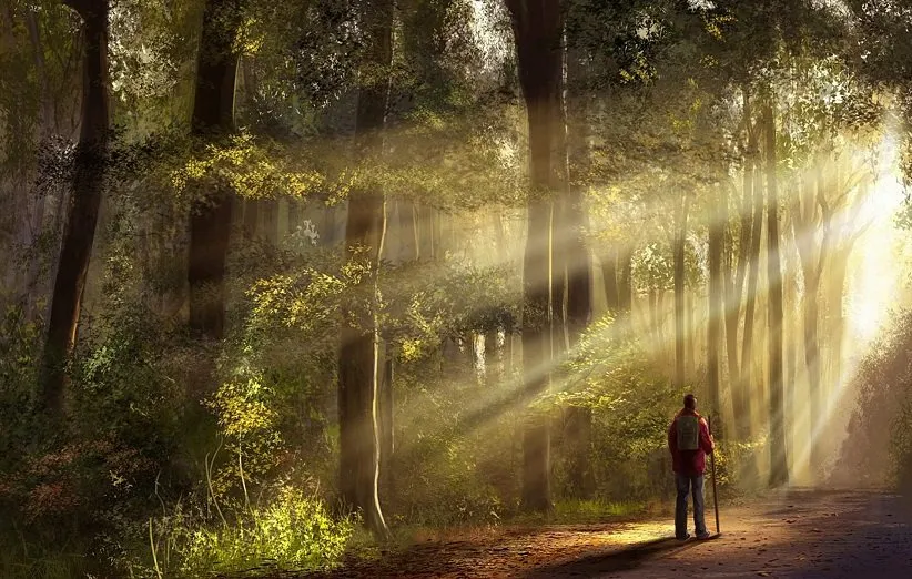 چگونه باید حمام جنگل را انجام دهید؟