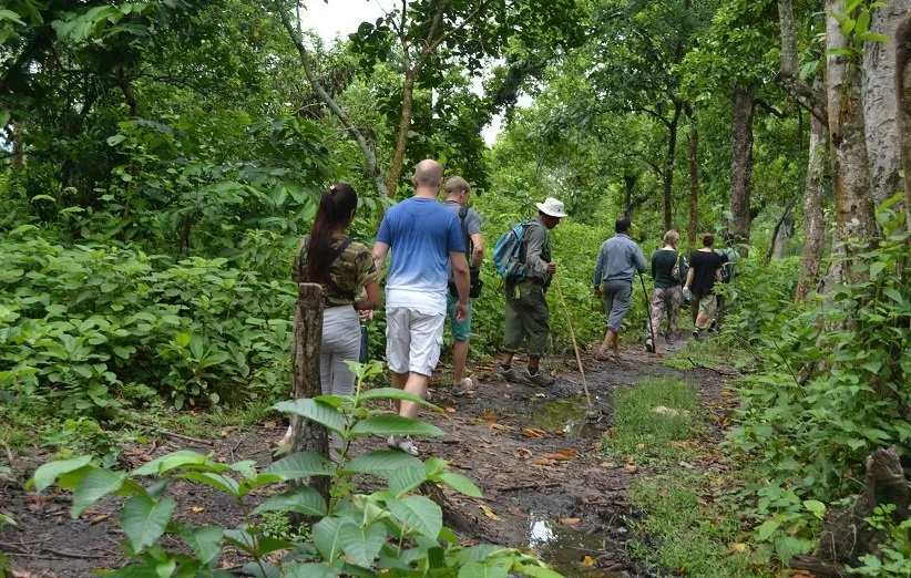 وقت گذراندن در دل طبیعت