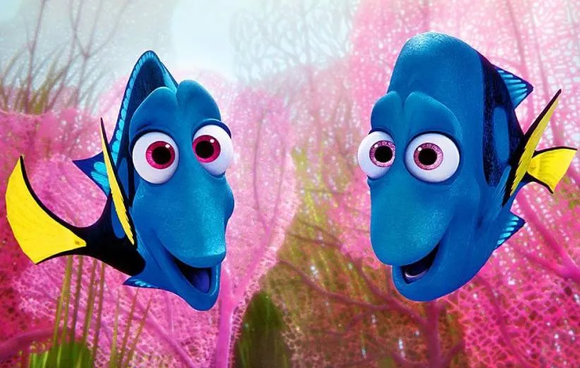 در جستجوی دوری