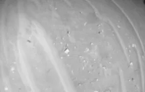 بیست و پنجمین پرواز نبوغ در جو مریخ