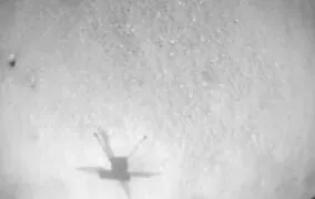 بالگرد نبوغ