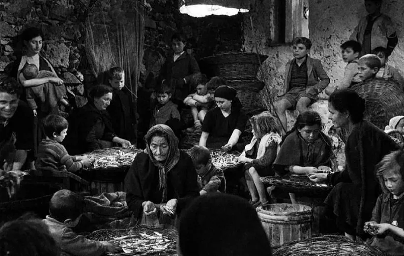 زمین می‌لرزد