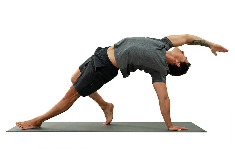 حرکت موجود وحشی