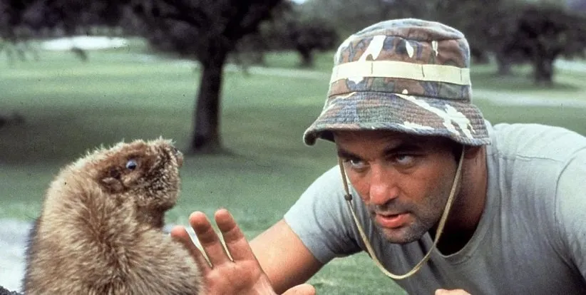 فیلم پادوی گلف