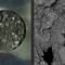 نمای نزدیک از نمونه‌های جمع‌آوری شده توسط فضاپیمای هایابوسا 2 ژاپن از سیارک ریوگو