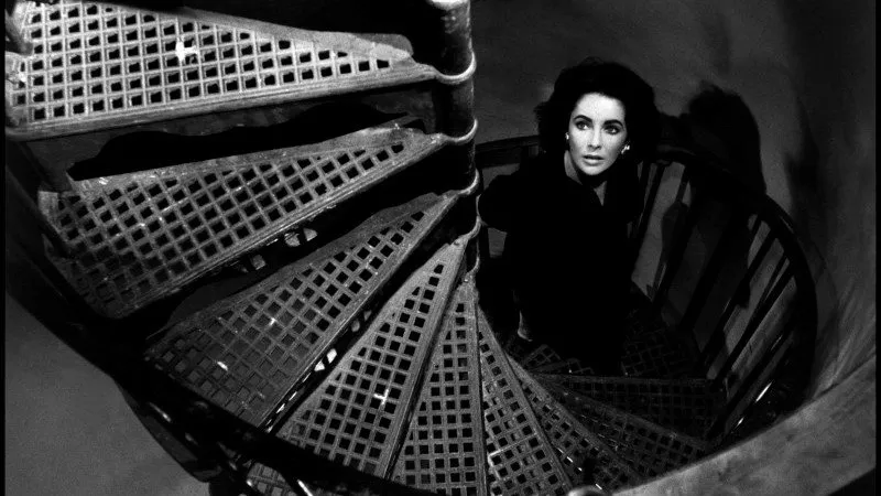 ناگهان تابستان گذشته