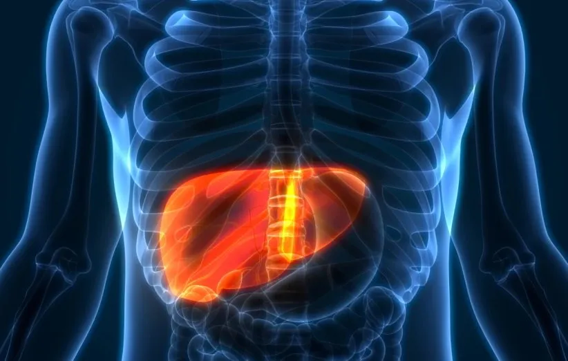 کبد در طول زندگی شما فقط سه سال عمر می‌کند!