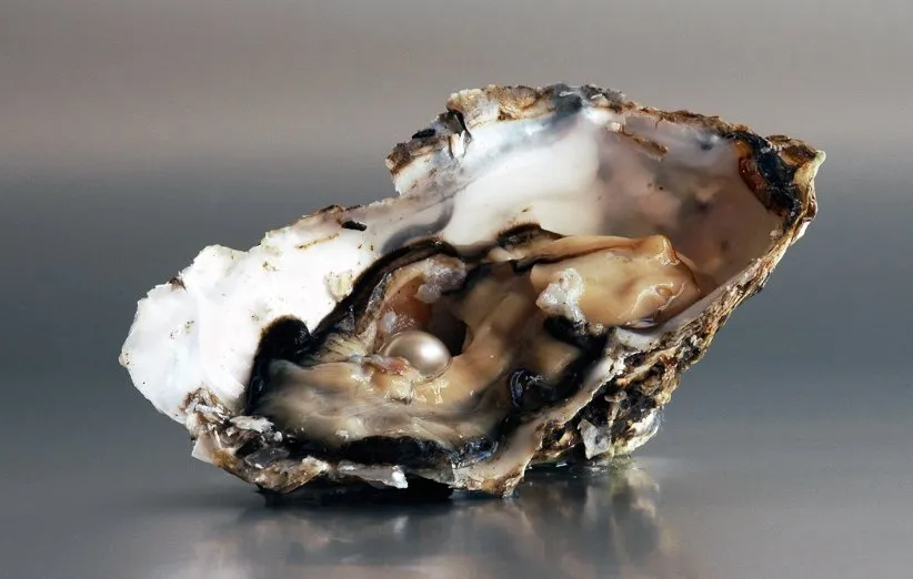 مروارید چگونه تشکیل می‌شود؟