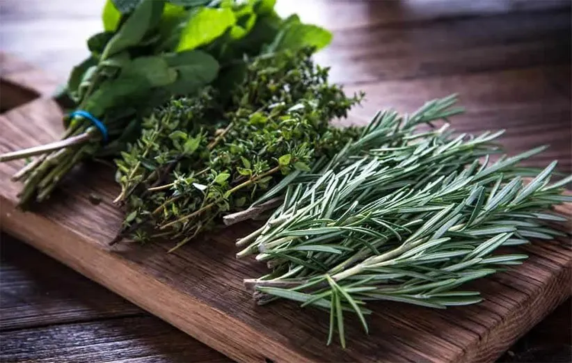 باغچه کنار پنجره