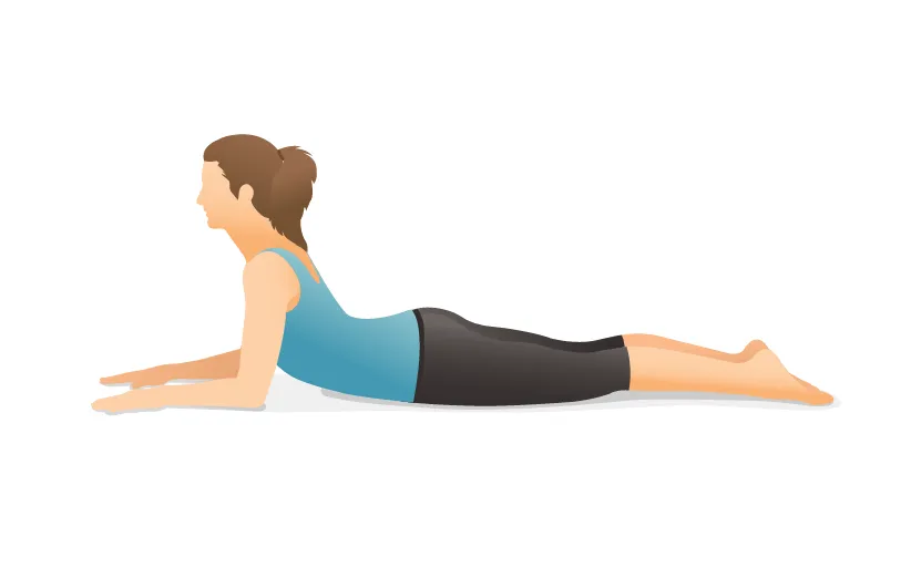 حرکت ابوالهول