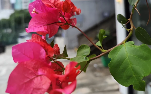 بررسی شیائومی 12S اولترا