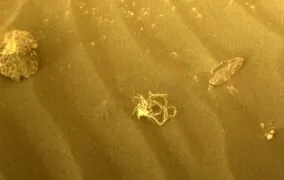 نودل یا اسپاگتی در مریخ ثبت شده توسط مریخ نورد پشتکار