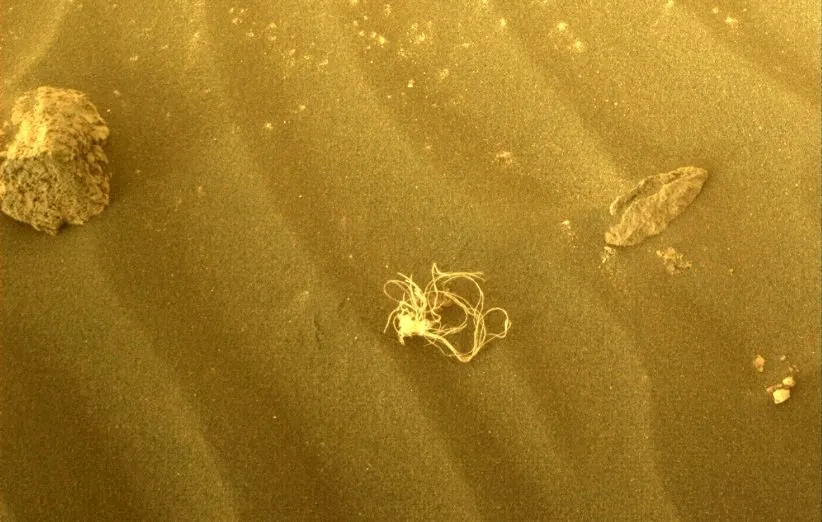 نودل یا اسپاگتی در مریخ ثبت شده توسط مریخ نورد پشتکار