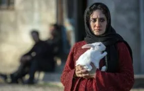 آیدا پناهنده