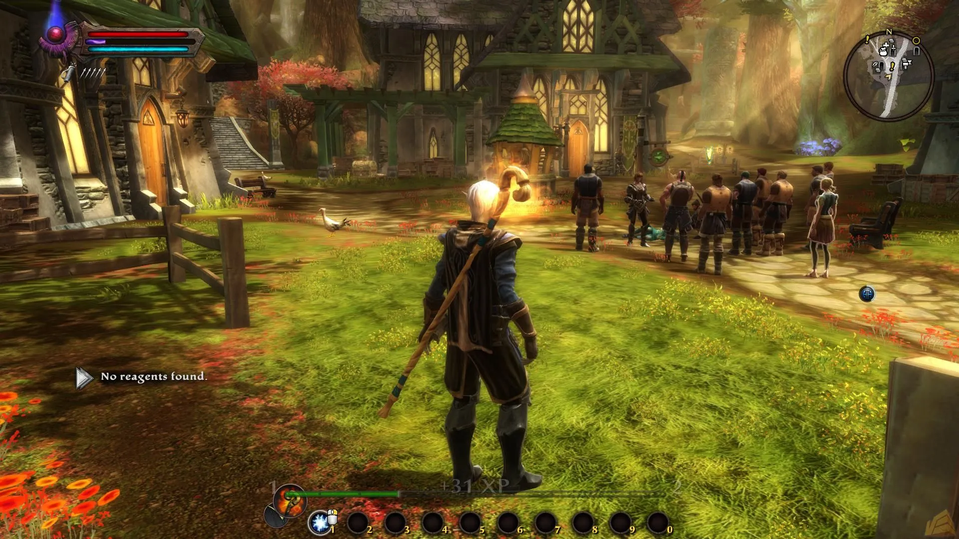 بازی Kingdoms of Amalur: Reckoning