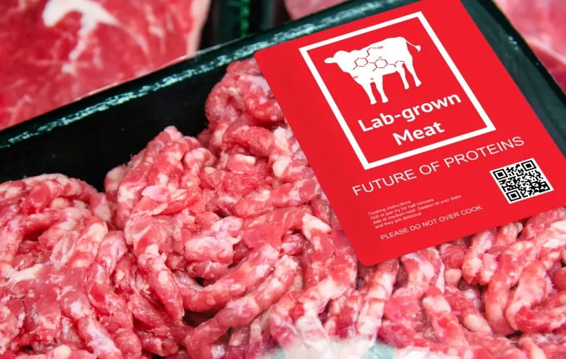 گوشت آزمایشگاهی