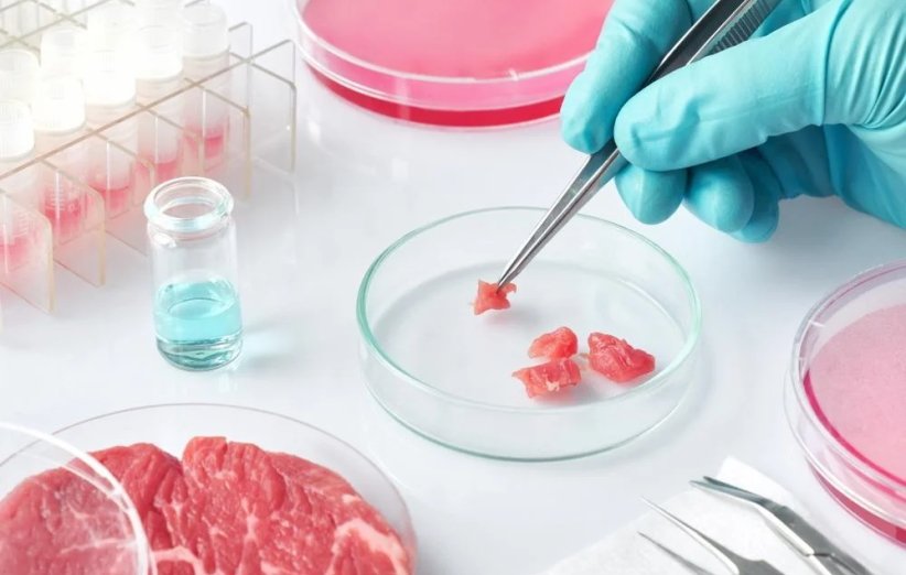 آیا گوشت آزمایشگاهی نوعی گوشت مصنوعی است؟