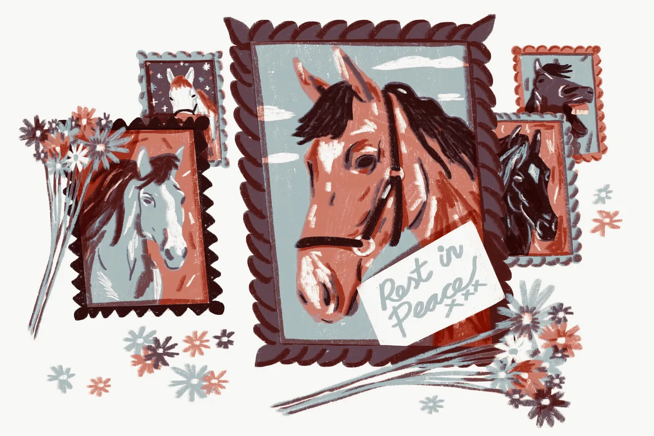 اسب های رد دد ۲