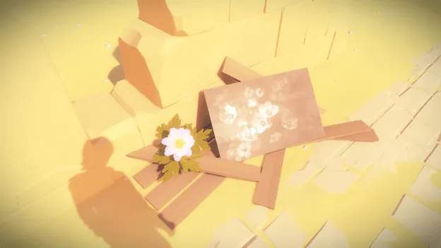 تصویری از The Witness