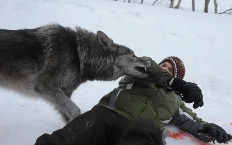 فیلم یخ زده