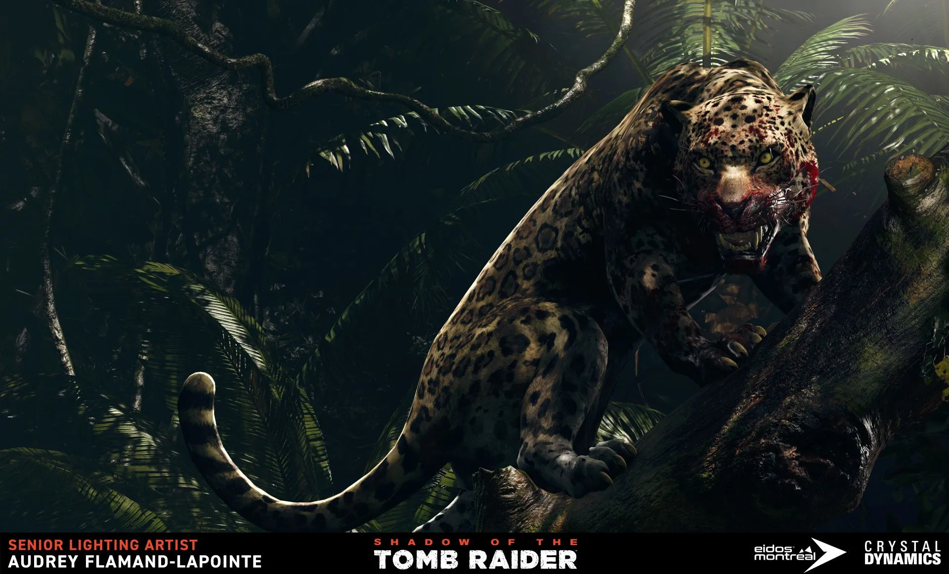 بهترین گربه بازیها