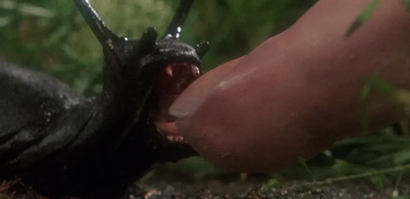 فیلم حلزون‌ها