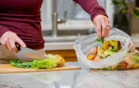 باقیمانده‌ی مواد غذایی