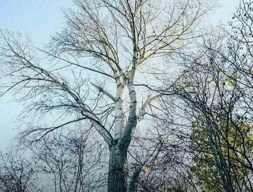 اینستاگرام تصاویر کشیده