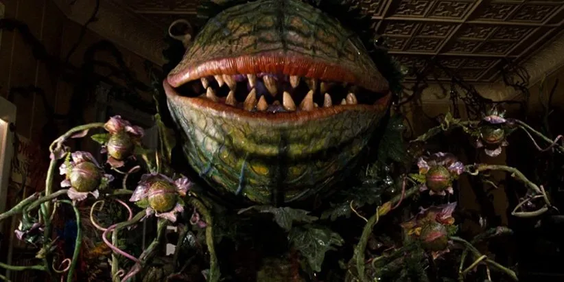 کمدی برتر «فروشگاه کوچک ترسناک»