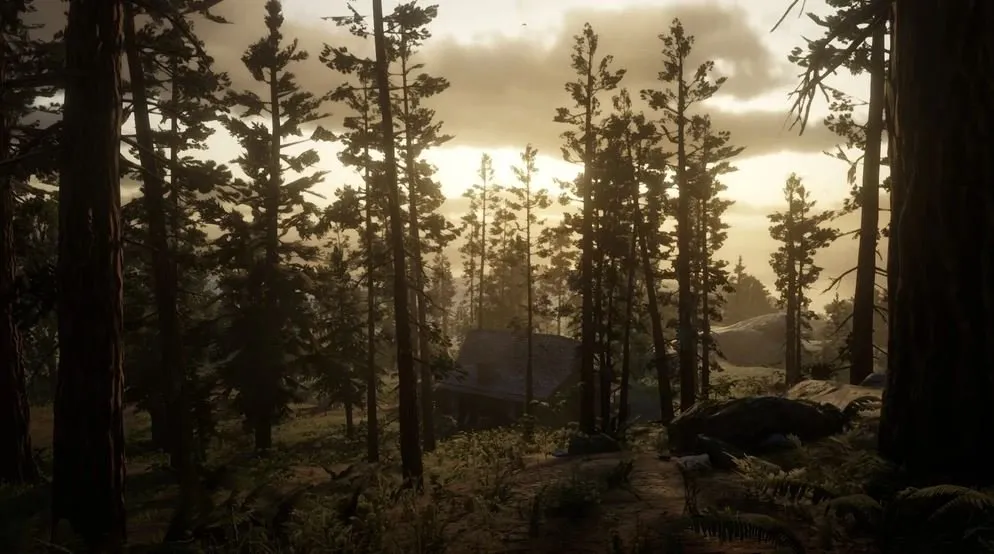 ردد دد ریدمپشن 1