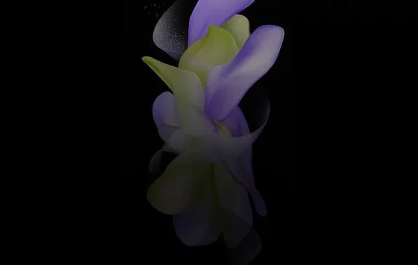 تصاویر زمینه‌ی گلکسی زد فلیپ 4