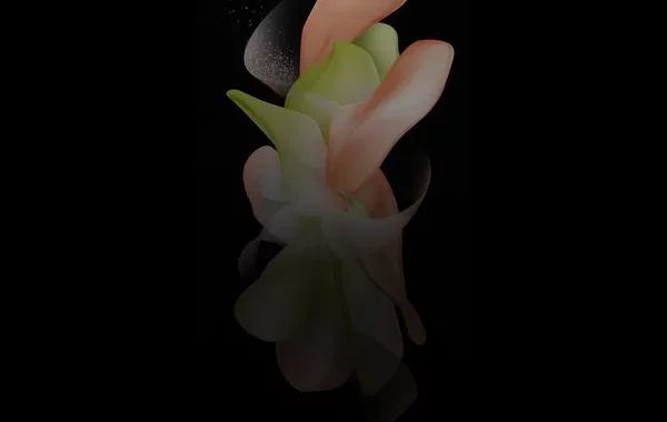 تصاویر زمینه‌ی گلکسی زد فلیپ 4