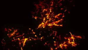 سحابی رتیل در طیف رادیویی