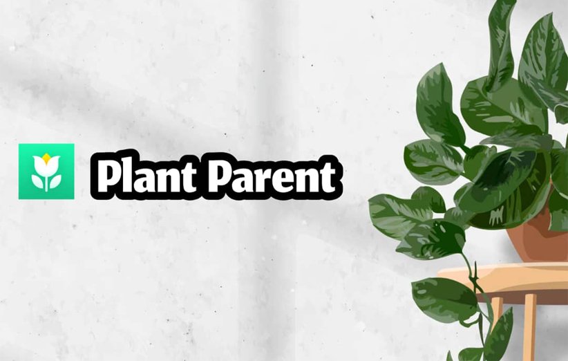 معرفی اپلیکیشن Plant Parent؛ آموزش نگه‌داری از گیاهان خانگی