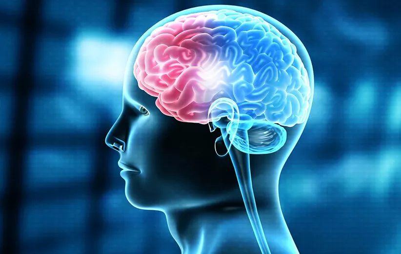 راههای حفظ سلامت مغز