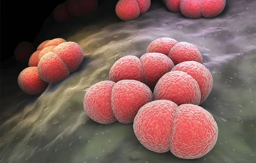 بیماری مننژیت