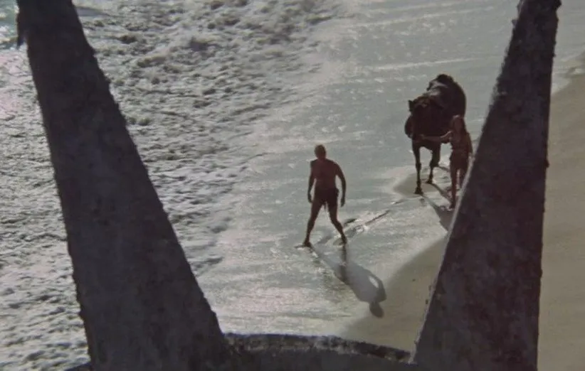 فیلم سیاره میمون ها