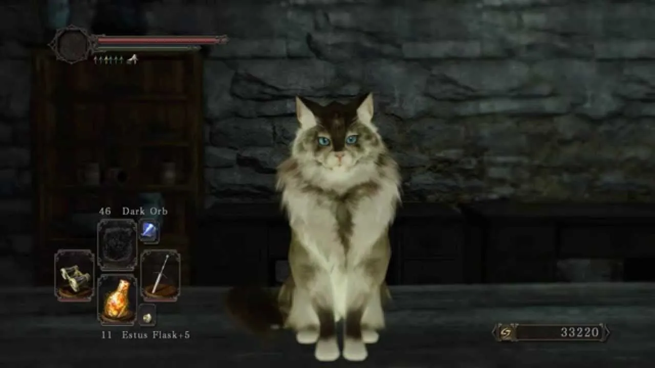 بهترین گربه بازیها