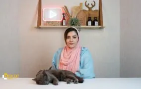 هواپز یا آون‌توستر