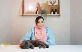 جارو شارژی