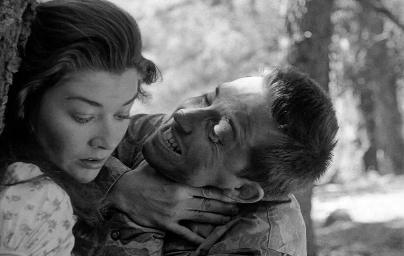 فیلم ترس و هوس